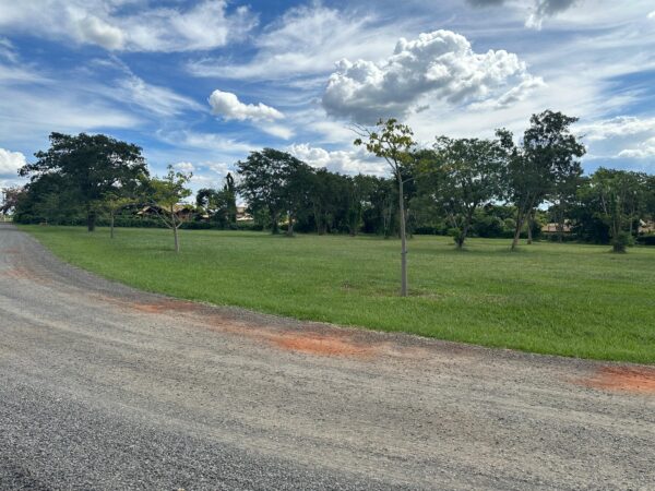 Terreno à venda - Condomínio Palmas Del Rey - Imagem 7