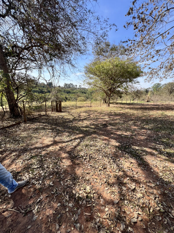 Chácara à venda - Reunidos Sta Maria - Imagem 5