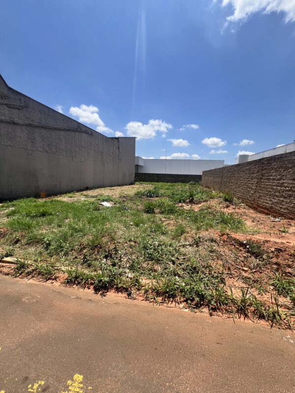 Terreno Comercial à venda - Vila Regina - Imagem 3