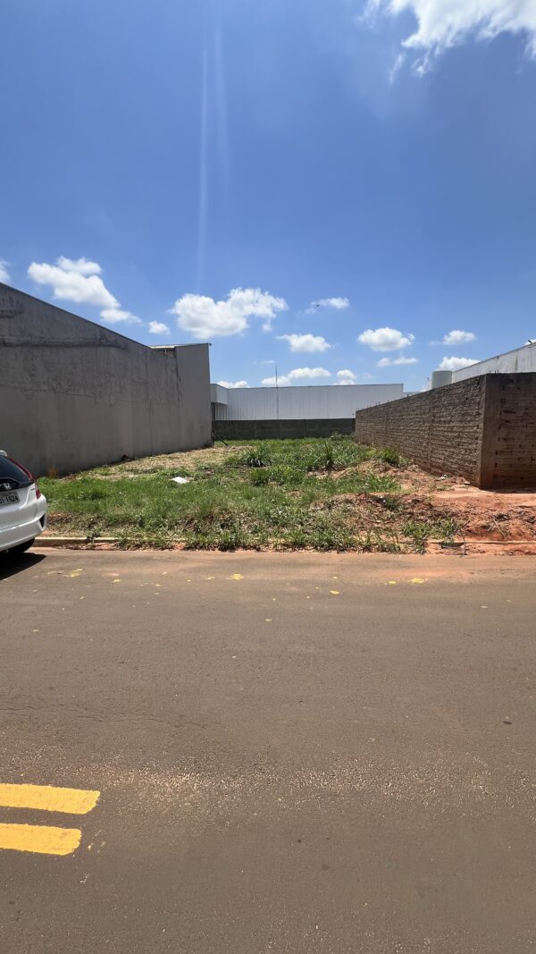 Terreno Comercial à venda - Vila Regina - Imagem 4