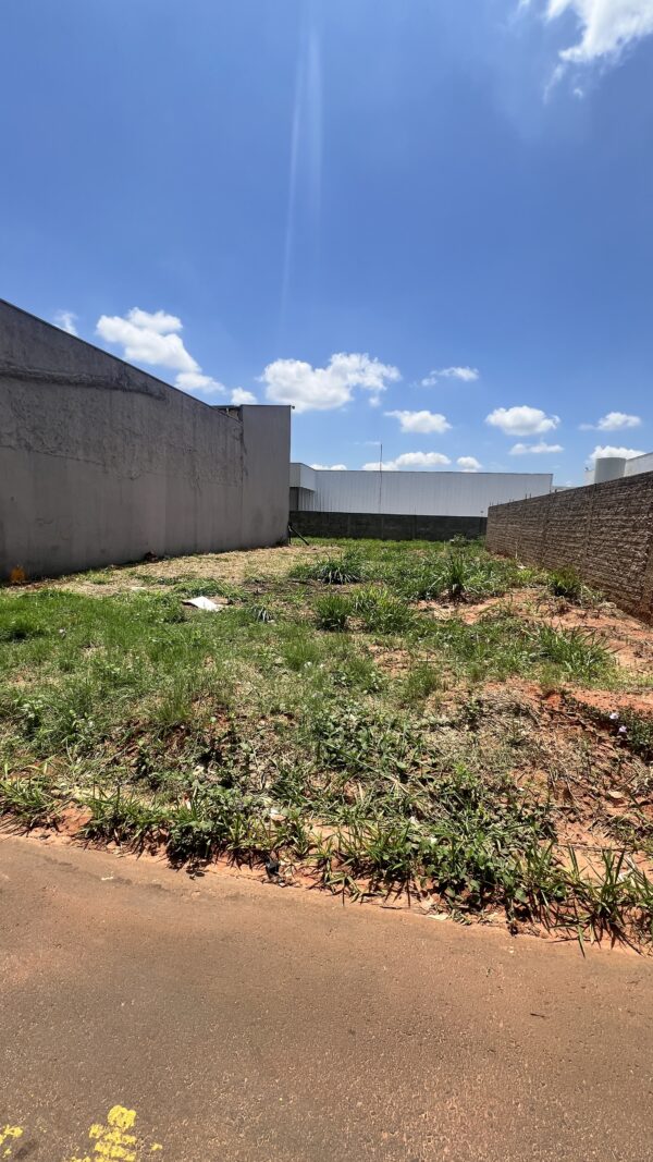 Terreno Comercial à venda - Vila Regina - Imagem 6