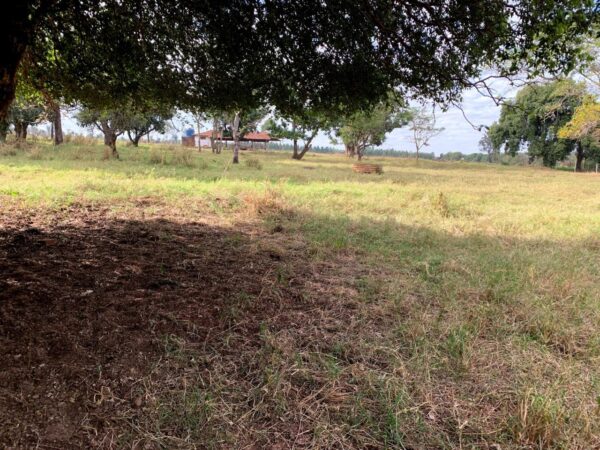 Chácara à venda - Tibiriça (Próximo a Bauru) - Imagem 23