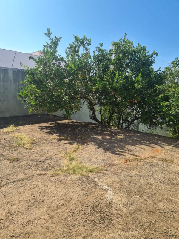 Terreno à venda - Jardim América - Imagem 7